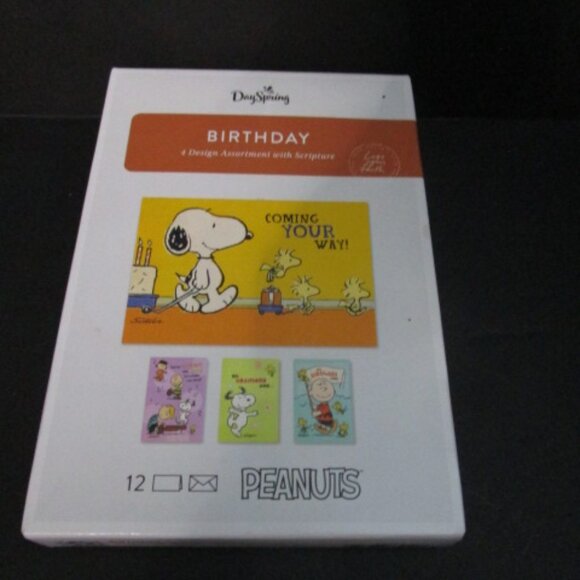 BOX OF 12 DAYSPRING PEANUTS BIRTHDAY CARDS PLUS 9 EXTRAS - Picture 1 of 6